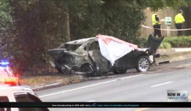 1 dead, 2 injured in fiery hit-and-run crash on University Blvd., JSO says