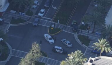 Woman trapped in car after rollover crash in Hollywood