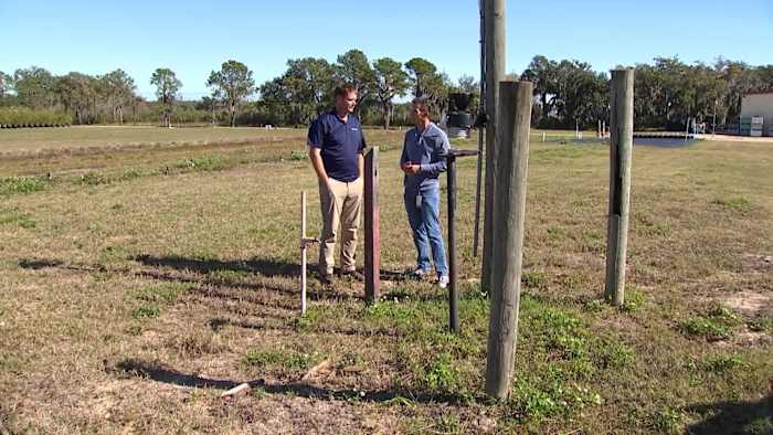 How a Groveland nursery is transforming water conservation in Central Florida