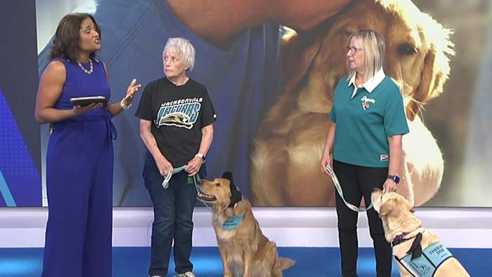 Volunteer-raised service, therapy dogs to greet Bills fans at JAX ahead of game