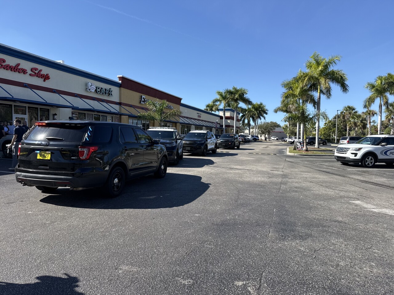 Cape Coral investigation