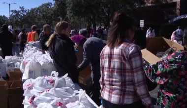 Tampa Bay area non-profits to pivot as USDA releases final food insecurity report