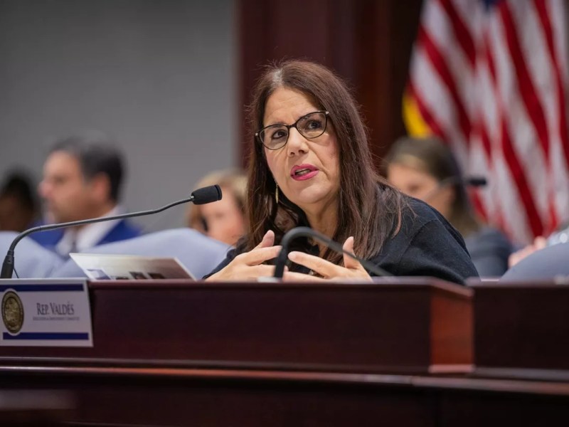 Tampa Rep. Susan Valdés sponsors bill to create Corrections accountabilty position