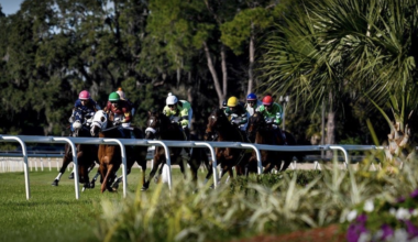 Bills filed to get horse racing out of Tampa Bay Downs, Gulfstream Park