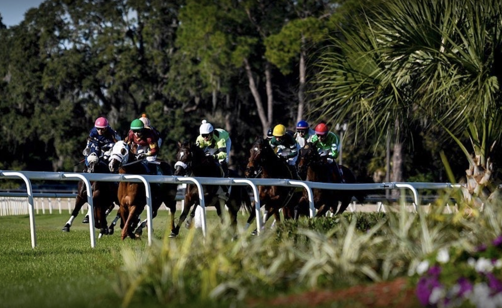 Bills filed to get horse racing out of Tampa Bay Downs, Gulfstream Park