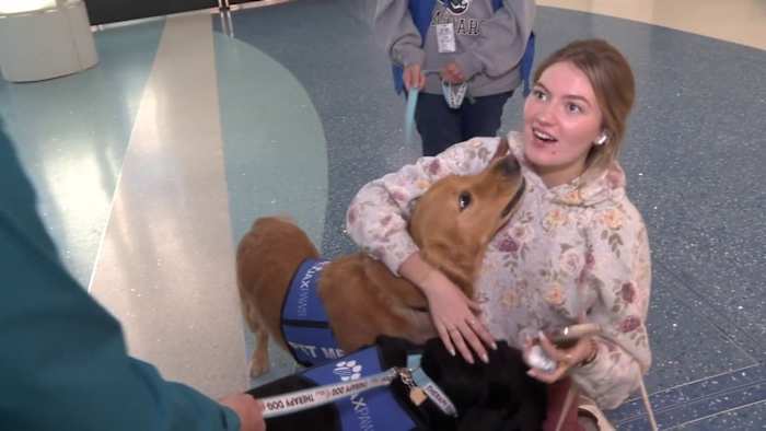 Airport therapy dogs win over Bills fans in Jacksonville