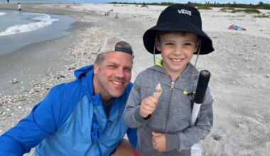 Junonia, cabrit murex found on Sanibel - SANIBEL-CAPTIVA