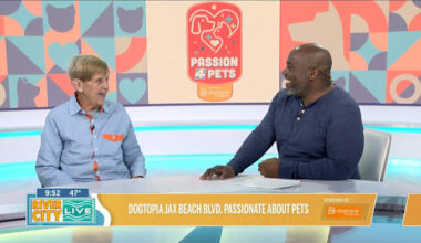 Dogtopia Jacksonville Beach Blvd. - One Stop Pet Shop