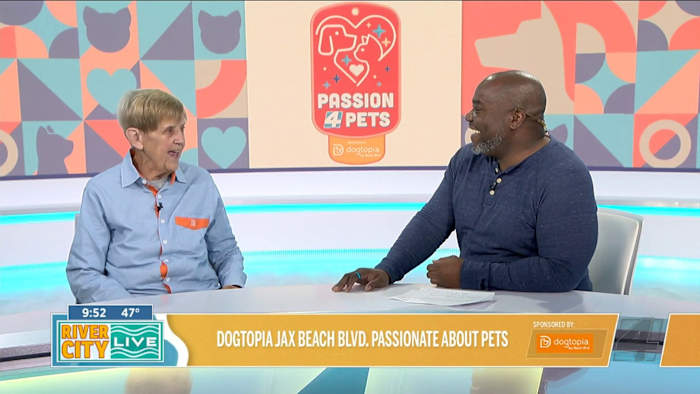 Dogtopia Jacksonville Beach Blvd. - One Stop Pet Shop