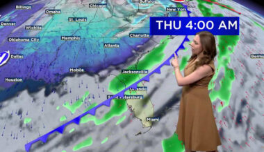 Need allergy relief? Here’s how this cold blast could alter pollen numbers in Central Florida