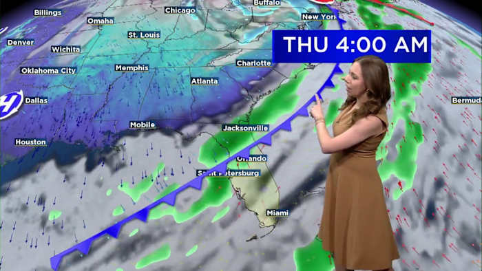 Need allergy relief? Here’s how this cold blast could alter pollen numbers in Central Florida