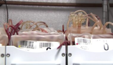 $1.4M awarded to Tampa Fire Rescue to give crash victims blood transfusions before reaching hospitals