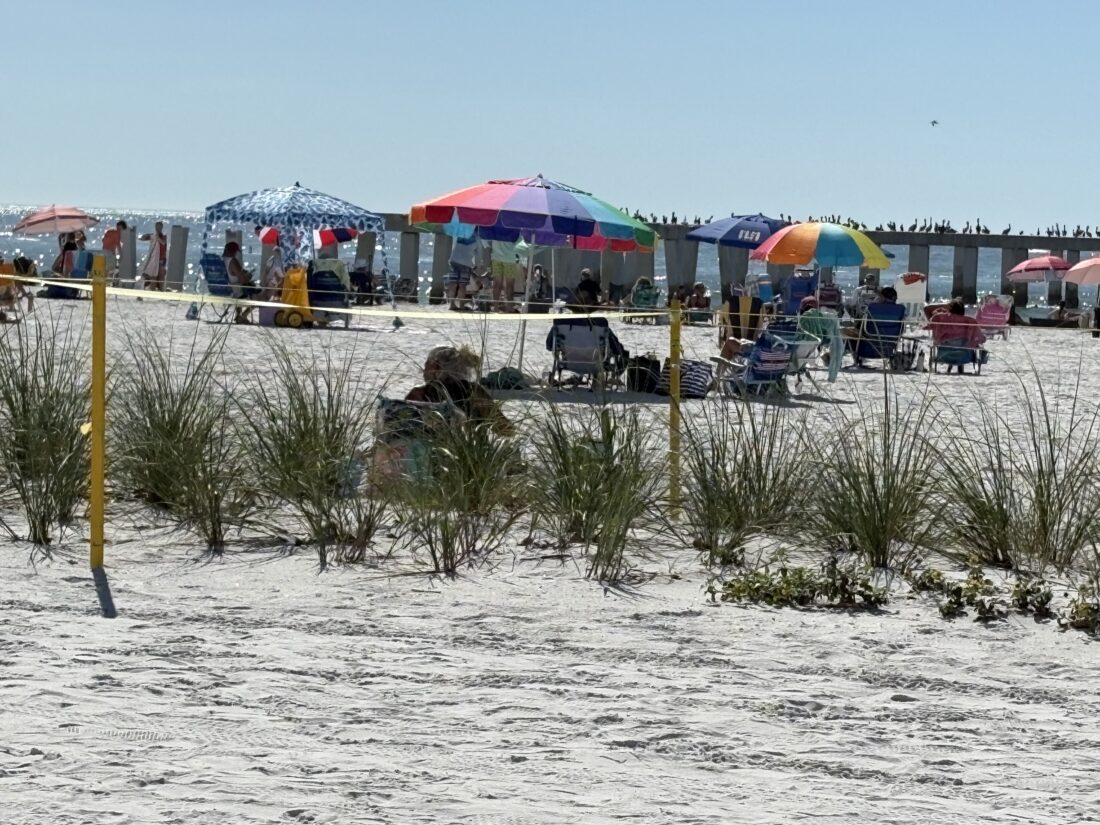 Water quality advisory lifted for Lynn Hall Memorial Park - FORT MYERS