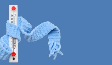 Lee County and its partners activate cold-weather outreach plan | News, Sports, Jobs