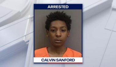 Teen sentenced in deadly crash following 2022 police chase from Tampa to Plant City