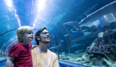 SeaWorld offers preschoolers unlimited free admission all 2026