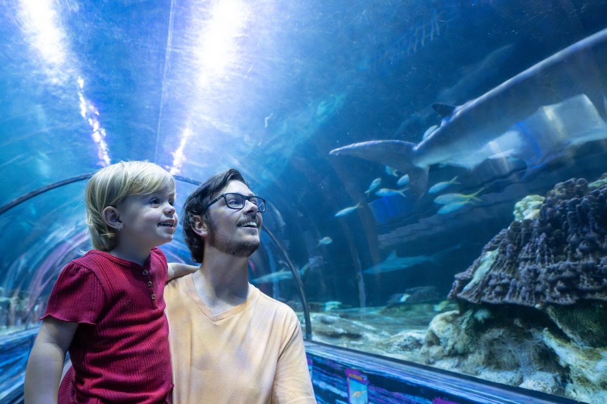 SeaWorld offers preschoolers unlimited free admission all 2026