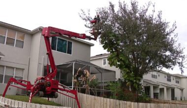 Hillsborough County working to build arborist workforce — why it’s important