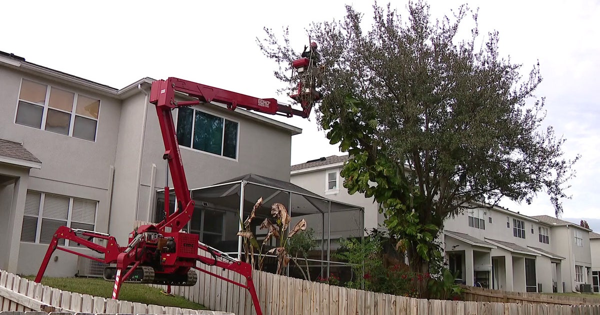 Hillsborough County working to build arborist workforce — why it’s important