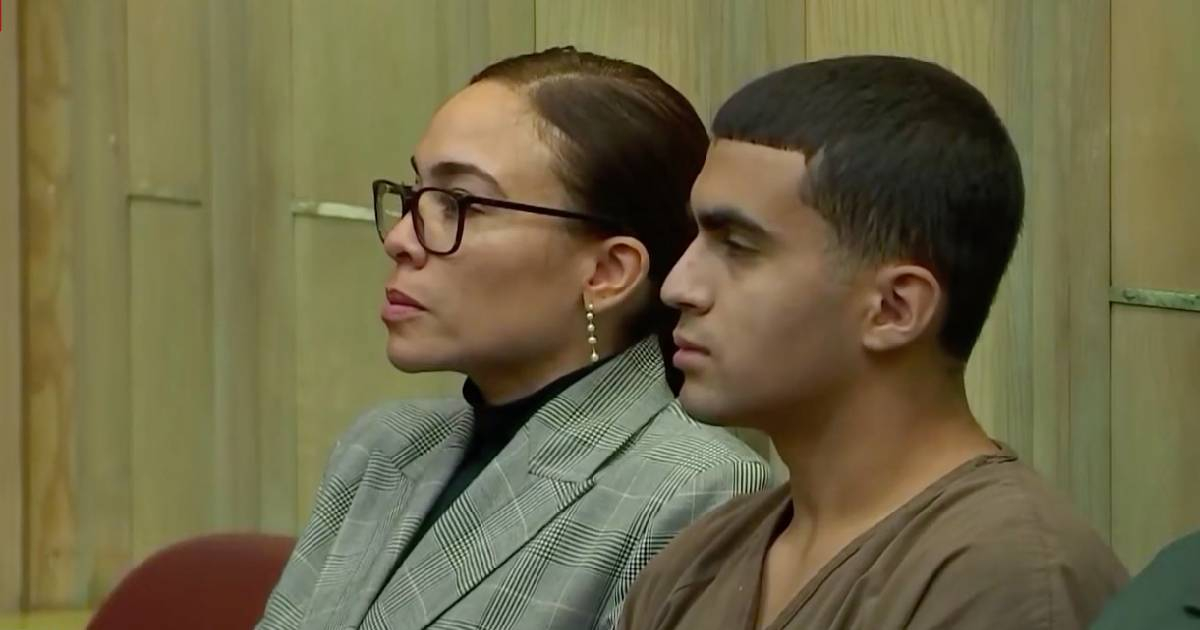 Derek Rosa pleads guilty to stabbing his mother in Hialeah: "I'm sorry."