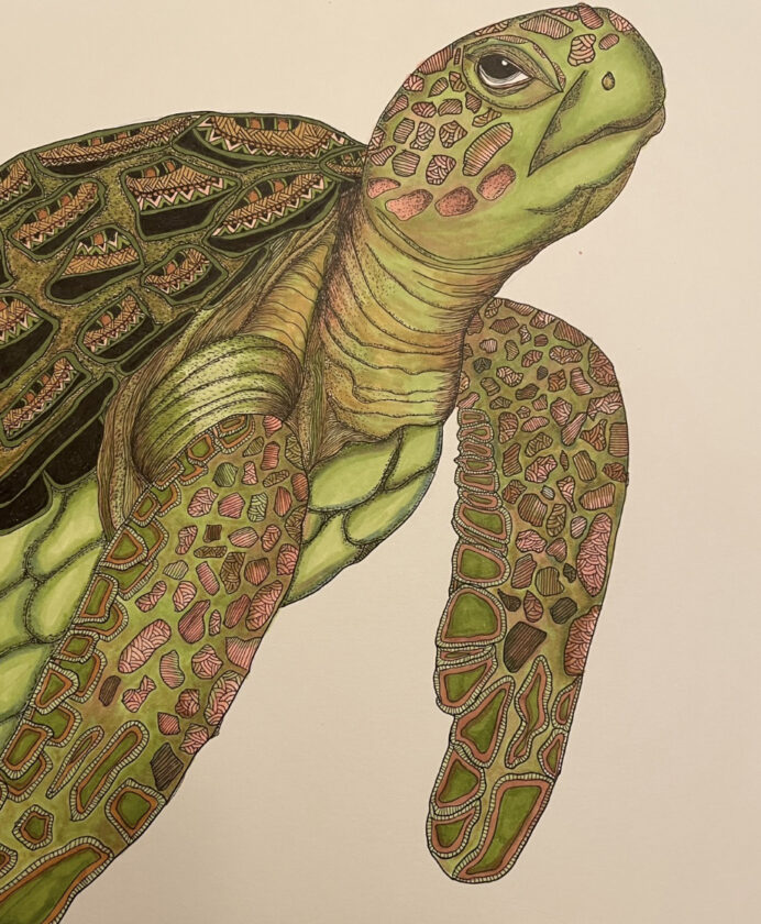 SCAL, SCCF call to artists - SANIBEL-CAPTIVA