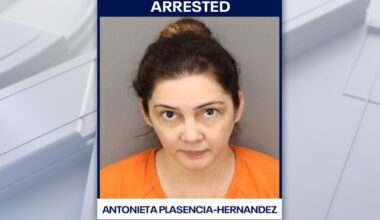 Florida woman accused of firing gunshot through wall during argument with boyfriend: PCSO