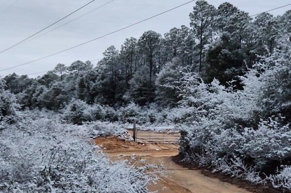 A rare snow is seen in Holt, Florida, on Sunday, Jan. 18, 2026. (Danielle Brahier via AP)