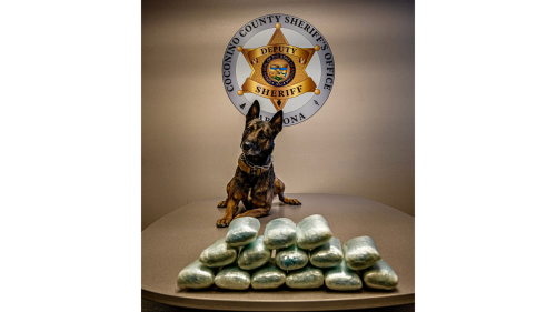 Affiliate Article 1 thumbnail - JP - 2026-01-15T171523.081.png