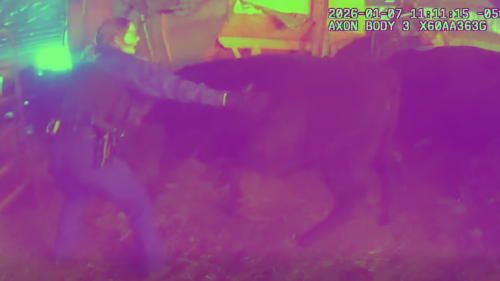 Screenshot 2026-01-12 112526.png