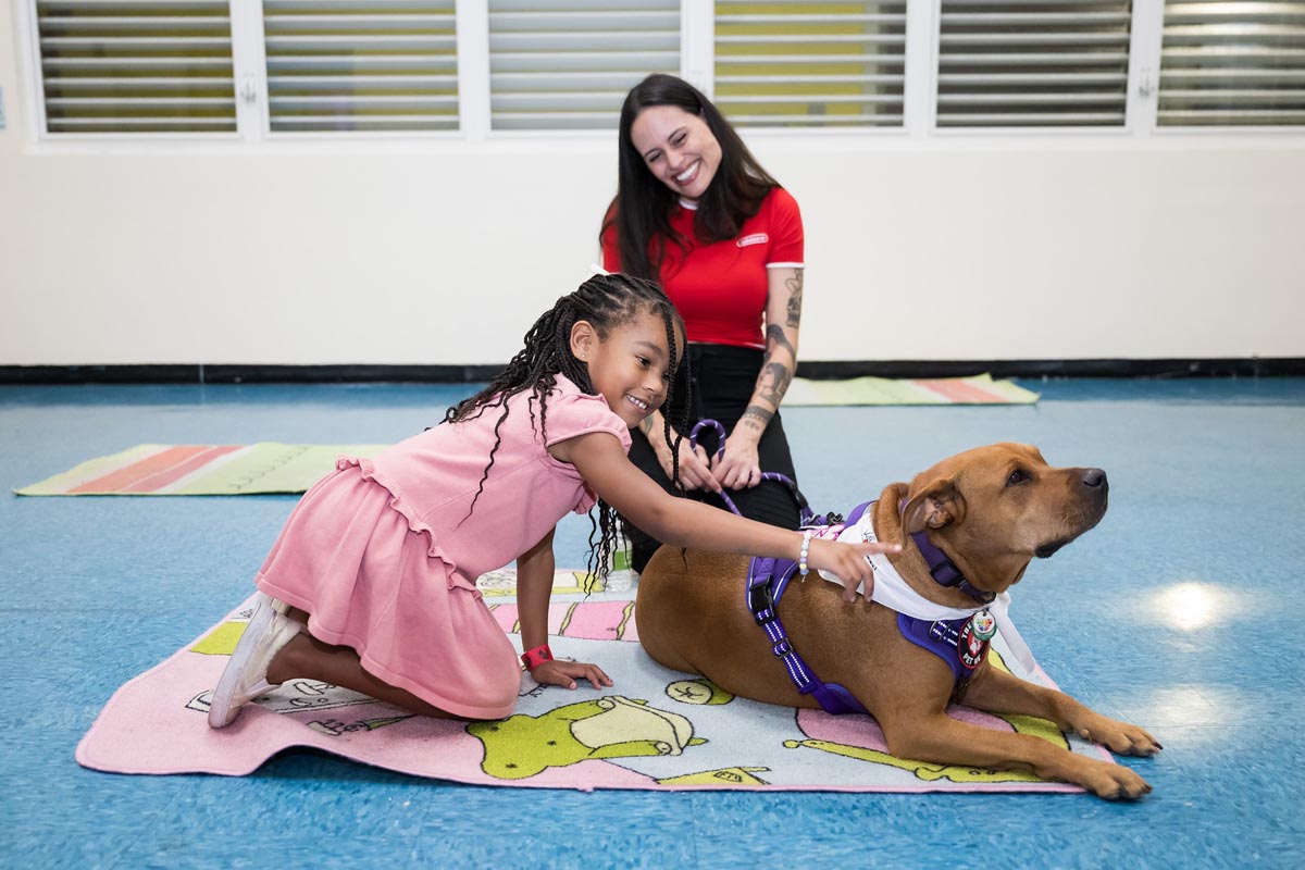 Meet Heel 2 Heal therapy dogs during Mini Animal Monday January 26. Photo courtesy of Miami Children