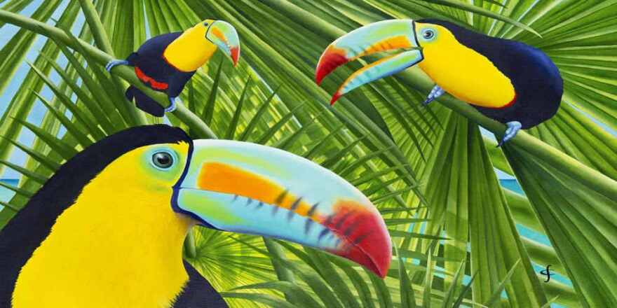 'Toucan Threesome' by muralist Carolyn Steele.