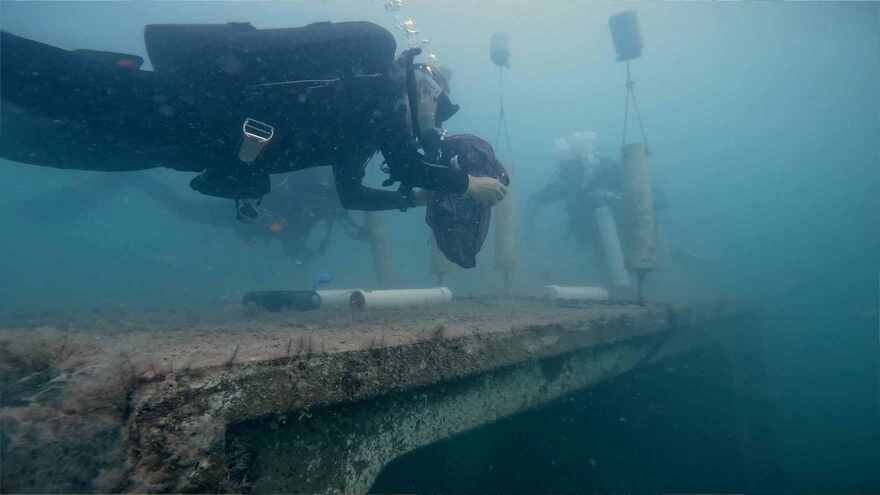 Diver explores Kimberly's Reef
