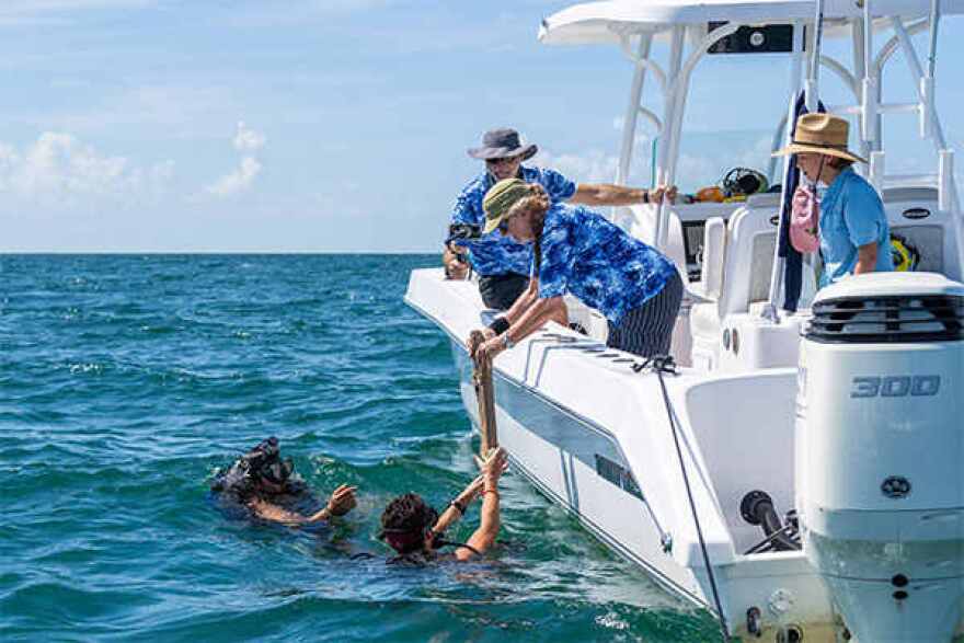 Divers prepare to explore Kimberly's Reef