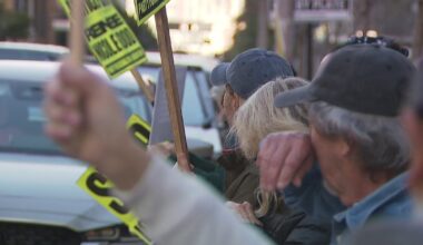 'Free America Walkout' draws protesters across Tampa Bay area