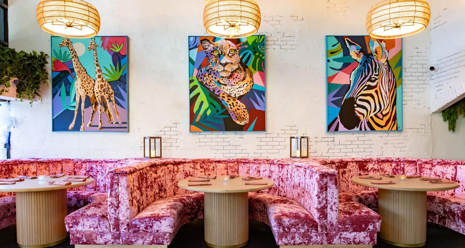 Concrete Jungle closes in St. Pete