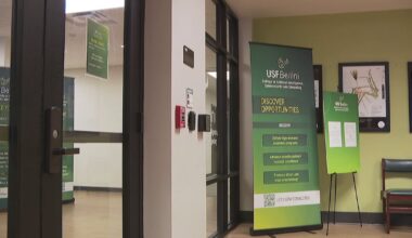 USF students to crack code on cyber criminals through new criminology and AI degree