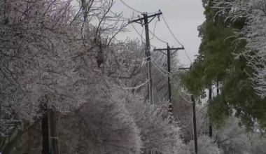 Hundreds of Florida line workers deploy north ahead of severe winter storm