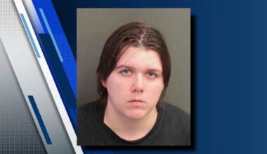 Violent protestor arrested at anti-ICE demonstration in Orlando, deputies say