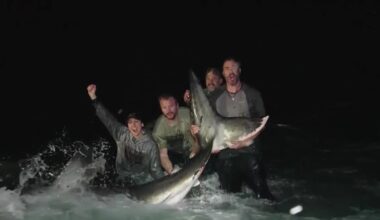 Anglers catch 13-foot great white shark along Florida beach