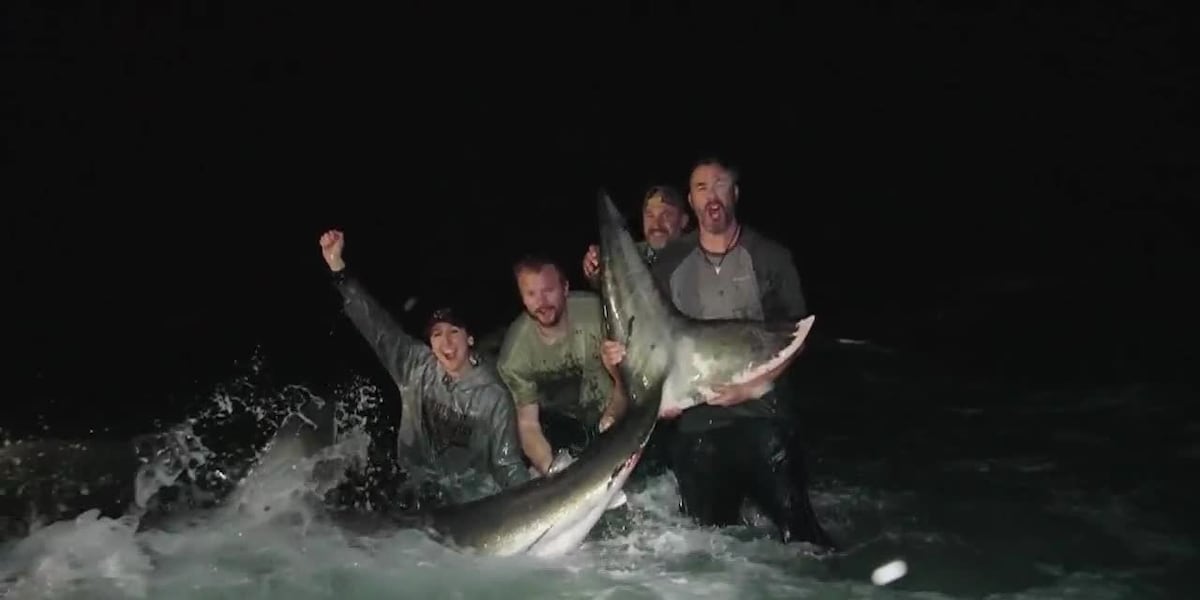 Anglers catch 13-foot great white shark along Florida beach