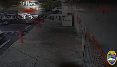 JSO searching for car involved in hit-and-run on Vernon Rd. between Edgewood Ave. and West 45th St.