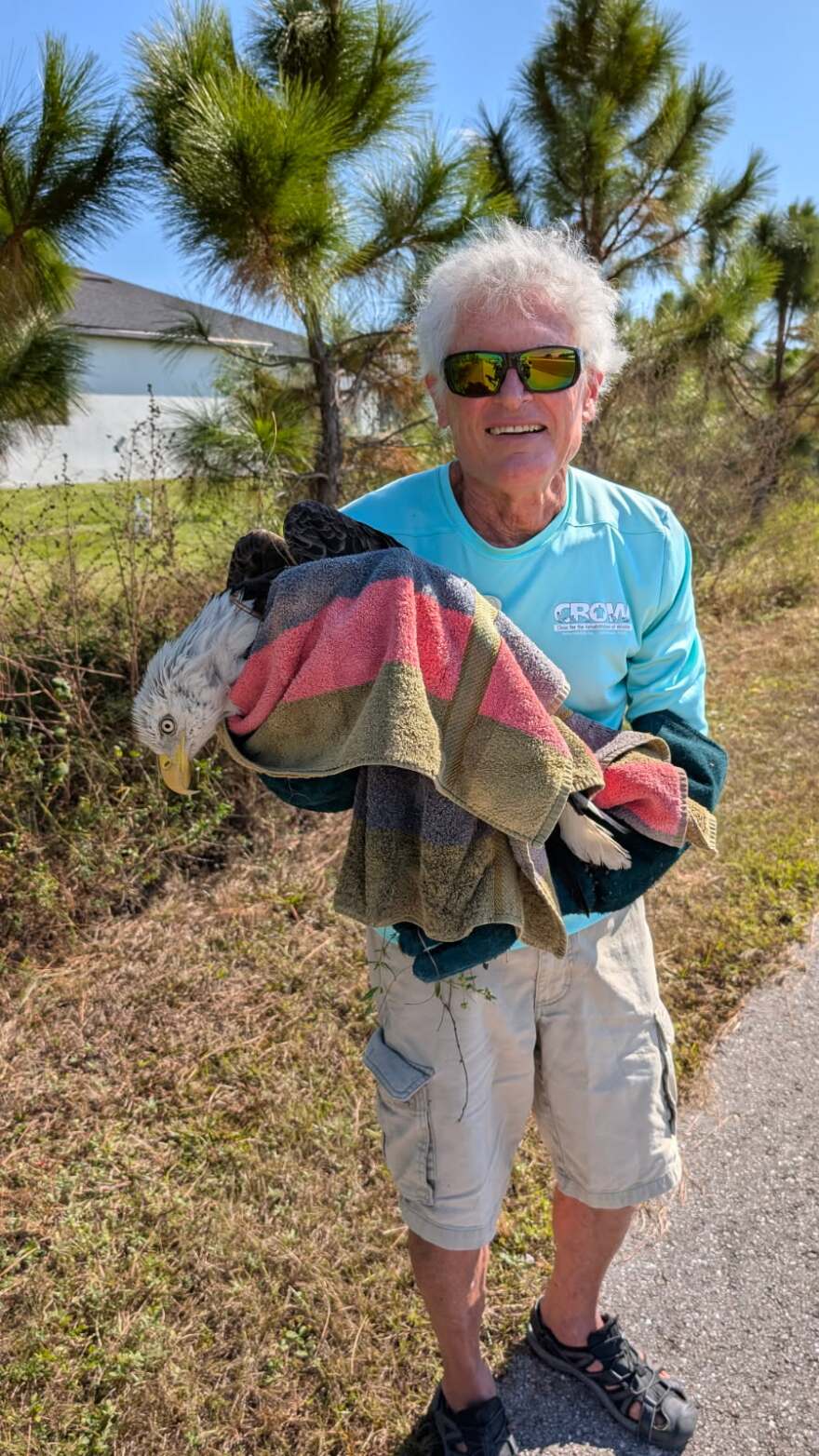 A CROW volunteer responded to reports of an injured eagle in Cape Coral recently and brought the raptor back to the CROW clinic for treatment.