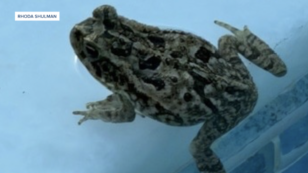 Screenshot 2026-01-25 at 10.12.33 AM.png