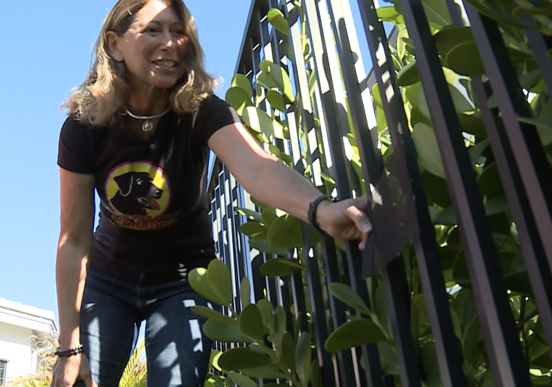 Screenshot 2026-01-25 at 10.12.14 AM.png