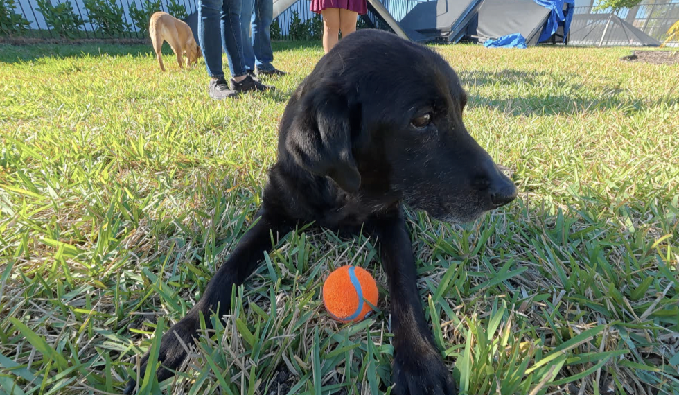 Screenshot 2026-01-25 at 10.13.03 AM.png