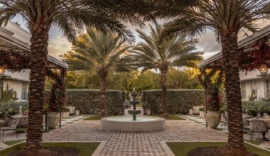 See Inside Bella, Eyal Shani's New Italian Restaurant in South Beach, Miami