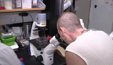 Advocates head to Tallahassee to push for continued cancer funding