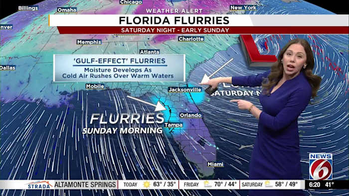 Hard freeze in Florida! Everything you need to know about CRAZY COLD forecast