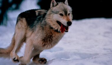 February Brings a Full Slate of New and Limited-Time Experiences to Museum of Discovery and Science 