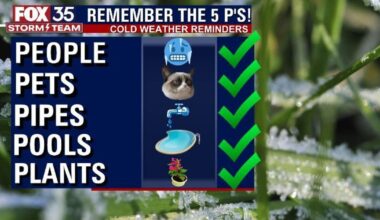 Florida freeze: Remember the 5 Ps to help you prepare for extreme cold